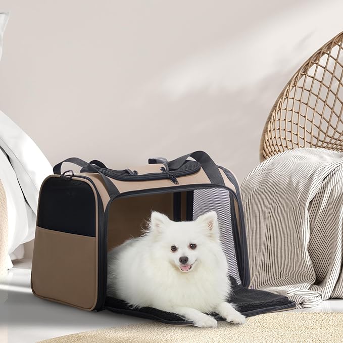 Pet Carrier
