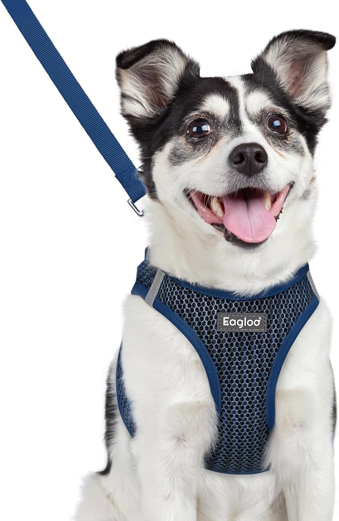 Dog Harness