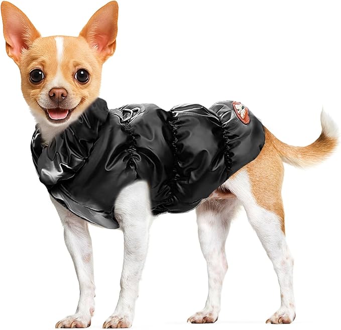 Summer Raincoats