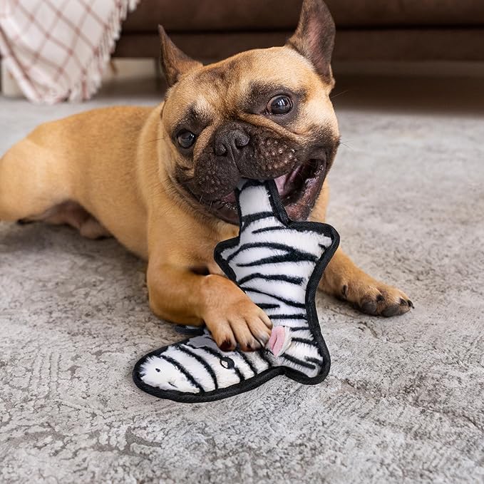 Pet Toy