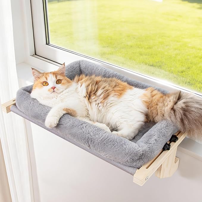 Window Perch
