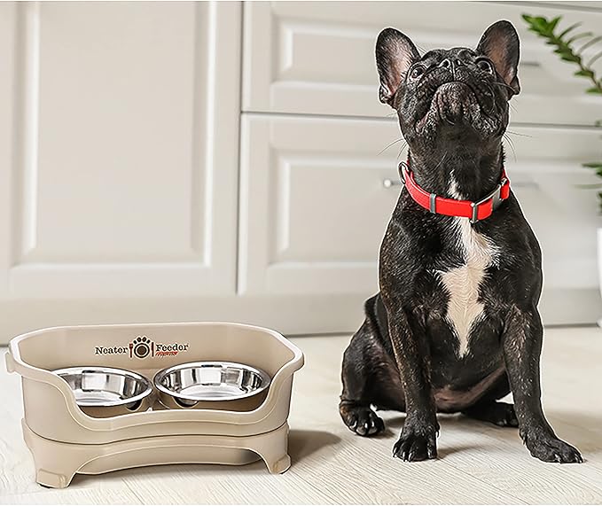 Pet Bowls