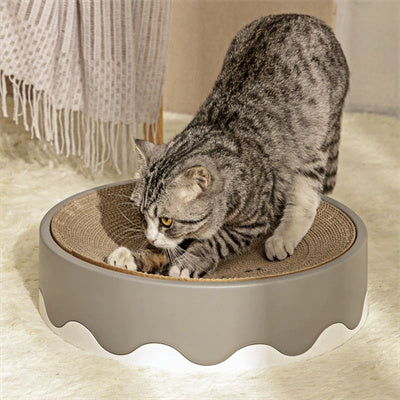 Cat Scratcher