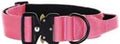 Heavy Duty Tactical Dog Collar, Adjustable Nylon with Metal Buckle, Multiple Colors (Red Rose, XL)