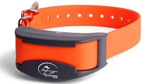Replacement Strap for SportDOG Collars - 3/4" Wide Ultra-Durable Dog E-Collar Replacement for Training, Bark, Shock, Electric, and GPS Collars - 28" Adjustable Length SportDOG (Reflective Orange-FBA)
