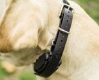 Replacement Strap for SportDOG Collars - 3/4" Wide Ultra-Durable Dog E-Collar Replacement for Training, Bark, Shock, Electric, and GPS Collars - 28" Adjustable Length SportDOG (Neon Pink-FBA)