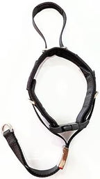 PetsProMax No-Pull Dog Headcollar for Large Dogs (Agressive/Reactive Dogs; Instant Stop Pulling; Gentle Training Collar for Dogs; Comfortable, Safe, and Effective Walking/Training Solution (Black, L)