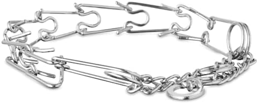 EveryYay by Petco Classic Training Dog Collar Small