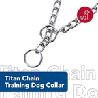 Coastal Pet Products DCP552016 16-Inch Titan Fine Chain Dog Training Choke/Collar with 2mm Link, Chrome
