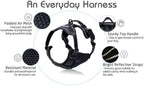 rabbitgoo Dog Harness No Pull with 2 Leash Clips, Adjustable Soft Padded, Reflective Oxford No Choke Pet Vest with Easy Control Handle for Large Dogs, Black, L