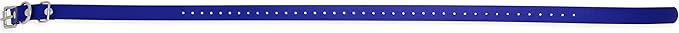 Educator Biothane Dog Collar, Waterproof, Odorproof, Metal Buckle and D Ring, Adjustable for Custom Fit, Cool and Comfortable, for Small, Medium, or Large Dogs, 3/4-Inch, Blue