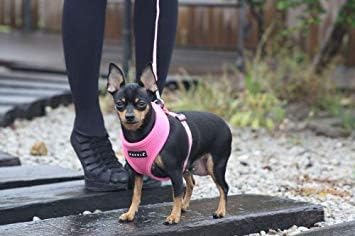 Puppia Soft Dog Harness No Choke Over-The-Head Triple Layered Breathable Mesh Adjustable Chest Belt and Quick-Release Buckle, Pink, X-Small