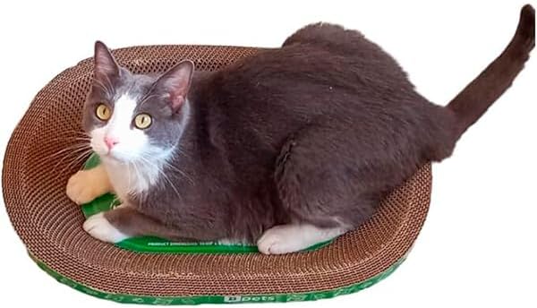B Kitty Scratcher Cat Bed, Fun for Your Purr-FECT Feline (B-Scratcher Oval Pack x 2)