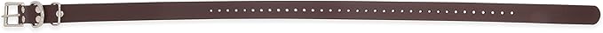 Educator Biothane Dog Collar, Waterproof, Odorproof, Metal Buckle and D Ring, Adjustable for Custom Fit, Cool and Comfortable, for Small, Medium, or Large Dogs, 1-Inch, Brown (Pack of 2)