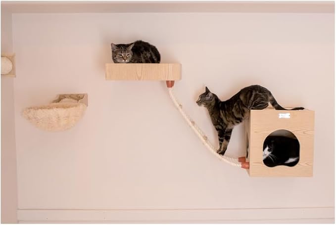 Maykoosh Cat Wall Tree with Perch & Condo - Solid Poplar Wood - 14x12x14