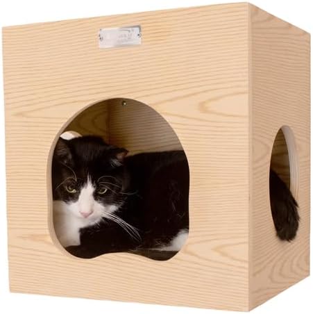 Maykoosh Cat Wall Tree with Perch & Condo - Solid Poplar Wood - 14x12x14
