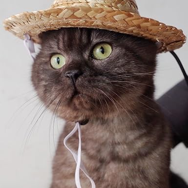 1Pc Novelty Summer Adjustable Pet Dog Outdoor Straw Hat Puppy Small Kitty Cat Sunhats Dog Hat，Apparel and Accessories， Hats