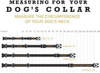 Wolfgang Heavy Duty Martingale Dog Collar with Quick Release Nylon Buckle for Walking & Training, Mixtape Print, Large