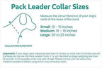 Cesar Millan Pack Leader Collar™ - Training Collar of The Dog Whisperer (Large, Blue)