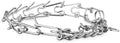 EveryYay by Petco Classic Training Dog Collar XX-Large/3X-Large