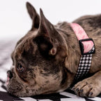 Wolfgang Heavy Duty Dog Leash, Pull-Tested to Over 800 lbs for Walking & Training, HoundsPink Print, Dual-Handle Large