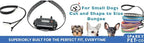 Replacement GPS eCollar with Adjustable Bungee, Multi-Hole Design, and Secure Toggle Closure for Small Dogs (Reflective Orange, Small Neck)