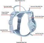 Petmolico Dog Harness for Small Dogs, Cute Harness Vest with Two Leash Clips and Soft Handle, Reflective Easy Walk Puppy Vest - Light Blue, X-Small