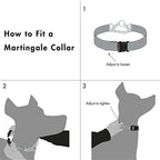 Friends Forever Martingale Dog Collars for Large Dogs - Reflective No Pull Dog Collar for Training Large/Medium Breed Dogs, Large