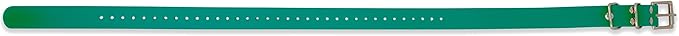 Educator 1-Inch Dog Training Collar Strap – ONLY Fits FE-580, ET-800 & UL-1200 Receivers – NOT Compatible with Mini Educator (ET-300/ET-400) – Durable Biothane Collar, Green