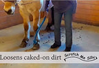 Scratch Me Silly 32-Inch Belly Scratcher for Animals – Ergonomic Dual-End Grooming Tool for Horses, Barnyard, Domestic & Zoo Animals – Lightweight, Long-Reach Grooming and Interaction Tool