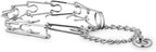 EveryYay by Petco Classic Training Dog Collar Small
