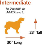 MidWest Homes for Pets 36-Inch iCrate for Medium-Large Breeds, 41-70 lbs, Single Door Folding Dog Crate with Divider Panel, Leak-Proof Tray & Secure Latches, Portable, Durable & Easy to Assemble