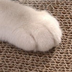 FluffyDream Cat Scratcher Cardboard Lounge Bed, Cat Scratching Pad, Pet Lounger (Bone)