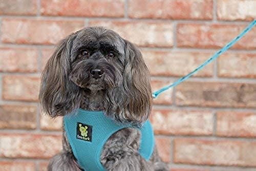 EcoBark Step in Dog Harness - Eco-Friendly Dog Harnesses for Small and Medium Breed Dogs - Reflective and Adjustable Body Halter Vest - Soft Mesh Toy Breed Harness (Blue, Large)