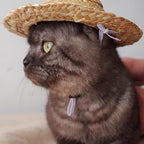 1Pc Novelty Summer Adjustable Pet Dog Outdoor Straw Hat Puppy Small Kitty Cat Sunhats Dog Hat，Apparel and Accessories， Hats