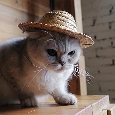 1Pc Novelty Summer Adjustable Pet Dog Outdoor Straw Hat Puppy Small Kitty Cat Sunhats Dog Hat，Apparel and Accessories， Hats