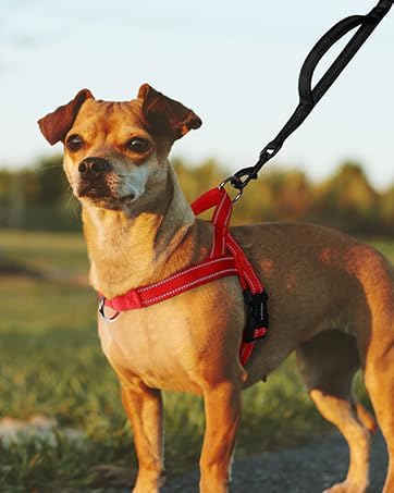 rabbitgoo Dog Harness No Pull, Quick Fit for Small Dogs with Soft Padded Handle, Chest Adjustable Reflective Pet Vest, No Choke Escape Proof for Walking Training, Red S