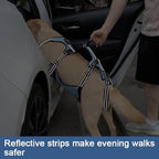 Coodeo Dog Lift Harness, Full Body Support & Recovery Sling, Pet Rehabilitation Lifts Vest for Old Dog with Arthritis Walk(Bule,XL)