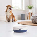 Pearhead Ceramic Dog Bowl – White & Navy “Bone Appétit” Design, Stoneware Pet Dish, Non-Skid Feeding Bowl, Small/Medium 2.25 Cups/ 18 oz