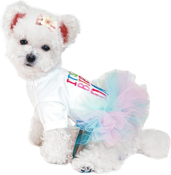 ANIAC Girl Dog Birthday Tutu Dresses Puppy Lace Skirt and Hairpin Cat Birthday Princess Dress Pet Clothes for Cats Small Dogs (Large, White)
