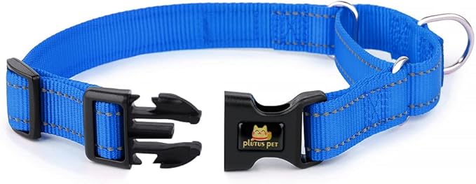 Plutus Pet Reflective Martingale Collar with Buckle - Durable and Adjustable Training Collar for No Pulling, Dog Choker Collar for Small Medium Large Dogs, Royal Blue, L