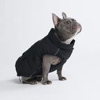 Spark Paws Dog Winter Jacket, Water-Resistant Coat, Warm Reflective Windproof Fleece-Interior, for Medium and Large Dogs - Black - XL