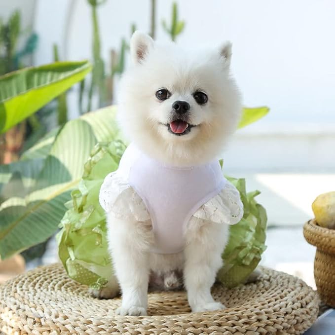 Cute Pet Frilly Dress for Dogs and Cats - Spring and Summer Fruit-Themed Party Gown for Small, Medium, and Large Breeds