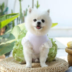Cute Pet Frilly Dress for Dogs and Cats - Spring and Summer Fruit-Themed Party Gown for Small, Medium, and Large Breeds