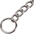 SGODA Chain Dog Training Choke Collar, 22 in, 3 mm