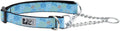 Training Collar | Medium, Boardshorts