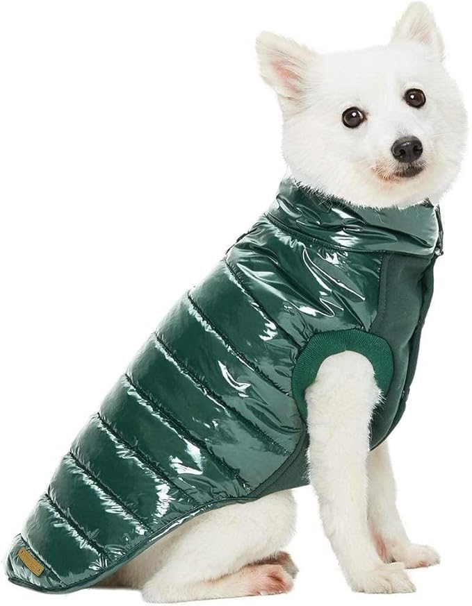 Blueberry Pet Cozy & Comfy Windproof Lightweight Quilted Fall Winter Glossy Dog Puffer Jacket in Hunter Green, Back Length 22.5", Size 20, Warm Coat for Large Dogs