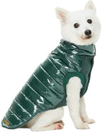 Blueberry Pet Cozy & Comfy Windproof Lightweight Quilted Fall Winter Glossy Dog Puffer Jacket in Hunter Green, Back Length 14", Size 12, Warm Coat for Small Dogs