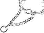 Darkyazi Durable Pinch Collar Stainless Steel Dog Adjustable Pet Training Collar for Medium Large Dogs (X-Large (Pack of 1), Silver)
