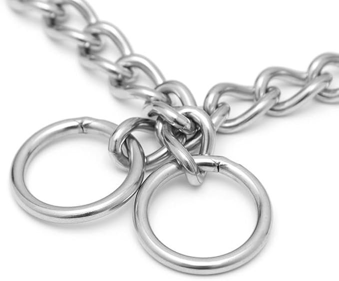 Choke Collar for Dogs,Dog Chain Collar Stainless Steel Martingale Collars Training Slip P Link Puppy Choke Chains for XXS XS Small Medium Large Breed Dog, Silver XL